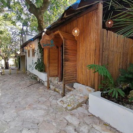 Casa Tortuga Azul Hotel Palenque Eksteriør billede
